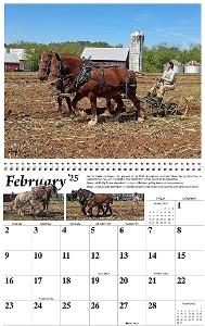 2025 Draft Horse Calendar